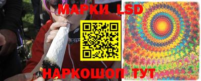 винт Будённовск