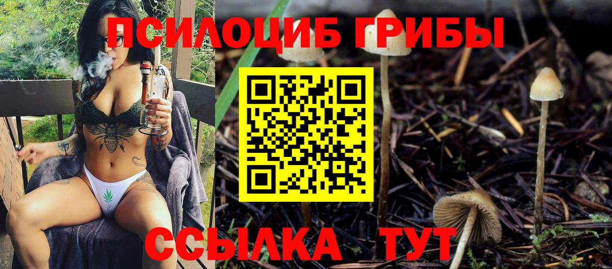 как найти закладки  Вход с VPN  Псков  Галлюциногенные грибы Cubensis 